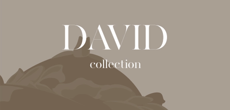 BROCHURE DAVID E DIAMANTE