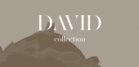 BROCHURE DAVID E DIAMANTE